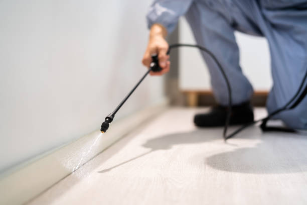 Bed Bug Pre-Treatment Preparation Assessment in Russell