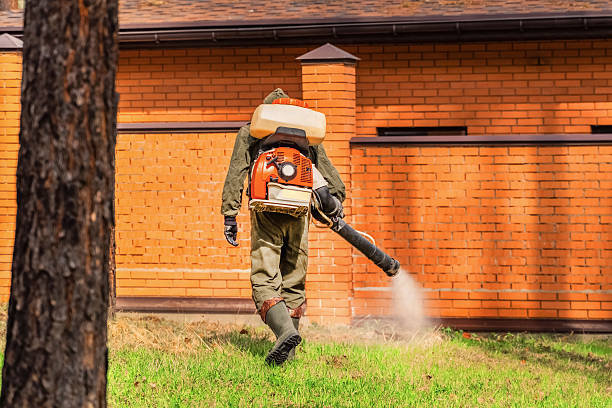Bed Bug Clearance Verification and Documentation in Russell